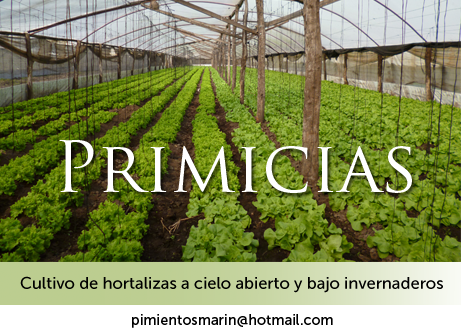 primicias1