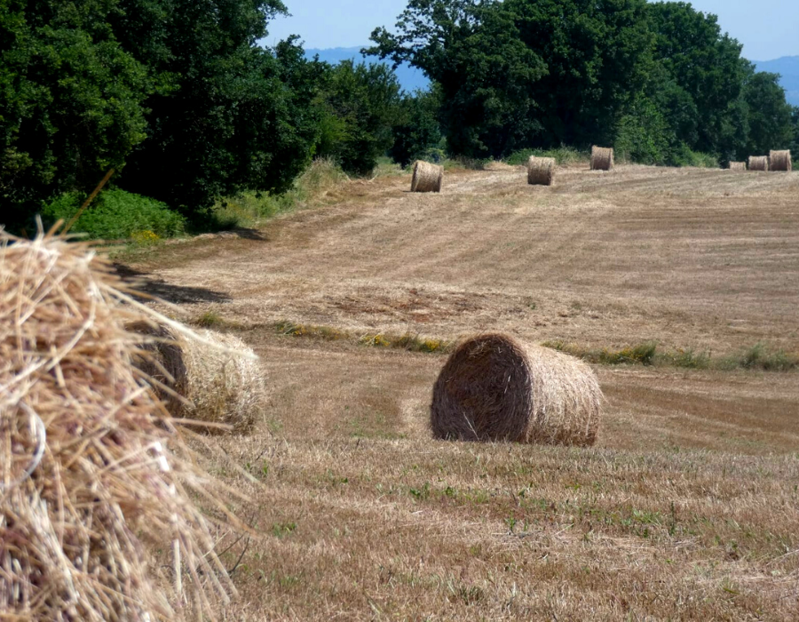 La civilisation et l'art de l'attente 