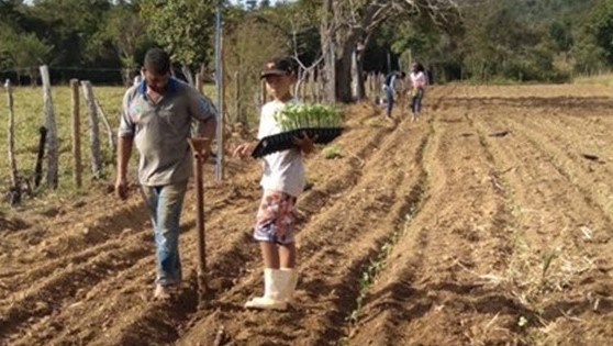 #Brésil: una ferme EdeC pour allier opportunités et vulnérabilités