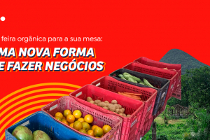 #Edc Brasile - Dal mercato biologico alla vostra tavola: un nuovo modo di fare business