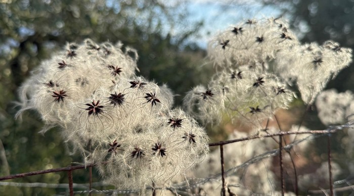 Una Chiesa che entra nella Storia. Tra giustizia sociale e sussidiarietà