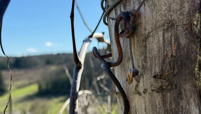 Il sangue dell’Europa che cambiò lo sguardo della Chiesa sul sociale