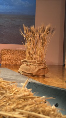 EoF Restarting the Economy 06 400 rid