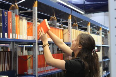 IU Sophia 3672 400 rid