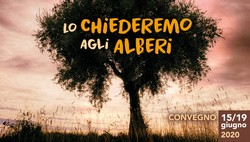 Lo chiederemo agli alberiRomena rid