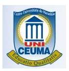 Logo_UNICEMA