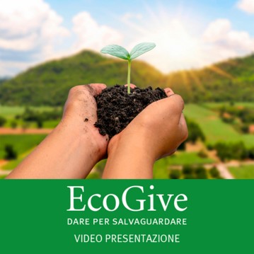 Ecogive video