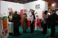 091127_Ancona_01