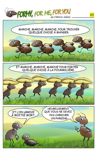 FORMY 65 francese